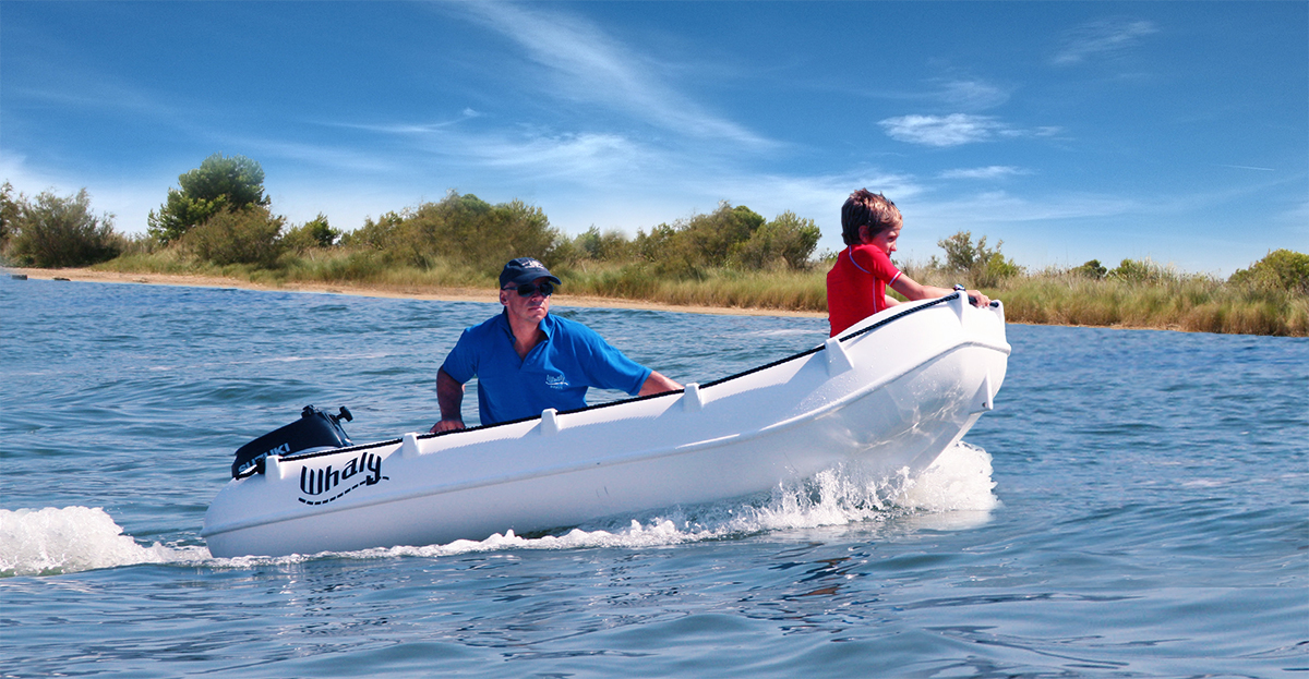 Picture of Whaly 270