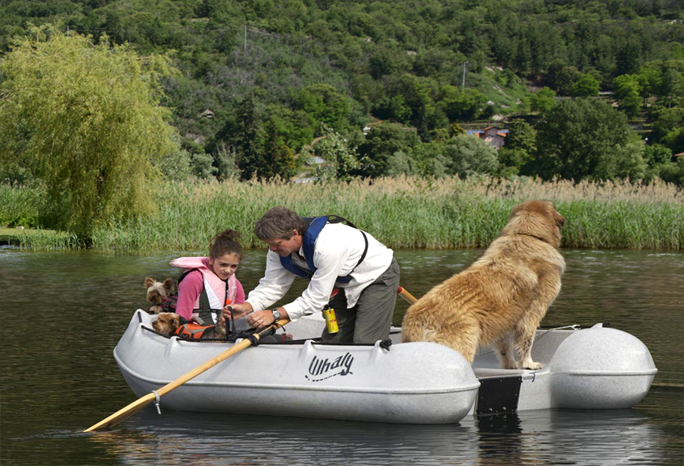 Picture of Whaly 270 4