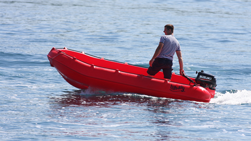 Picture of Whaly 310 1