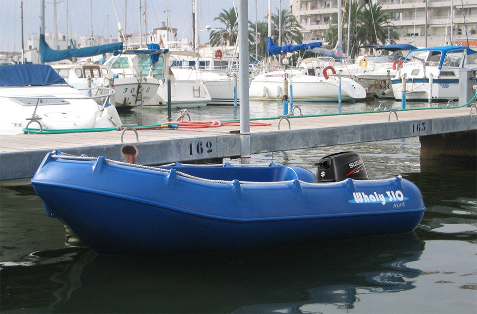 Picture of Whaly 310 3