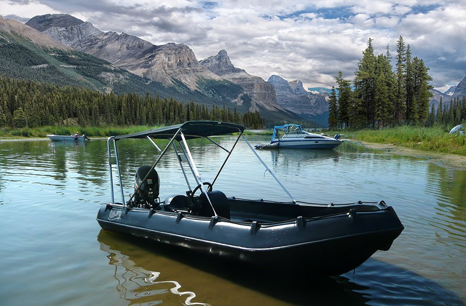 Picture of Whaly 500R Professional 3