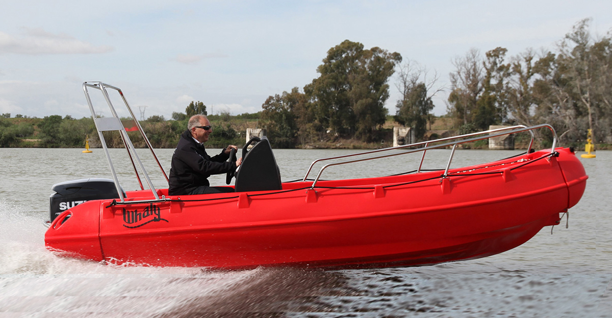 Picture of Whaly 455