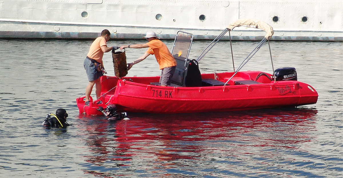 Picture of Whaly 500R Professional