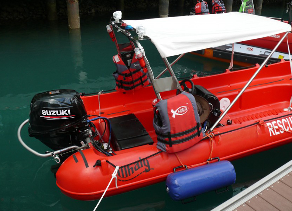 Picture of Whaly 500R Professional-Rescure