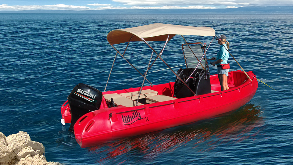 Picture of Whaly 500R Professional 2