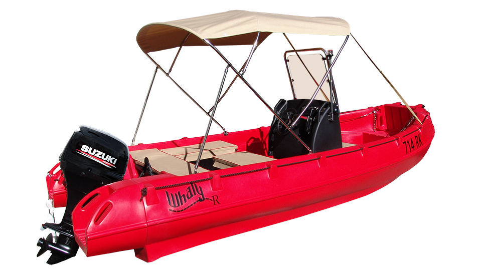 Picture of Whaly 500R Professional 3