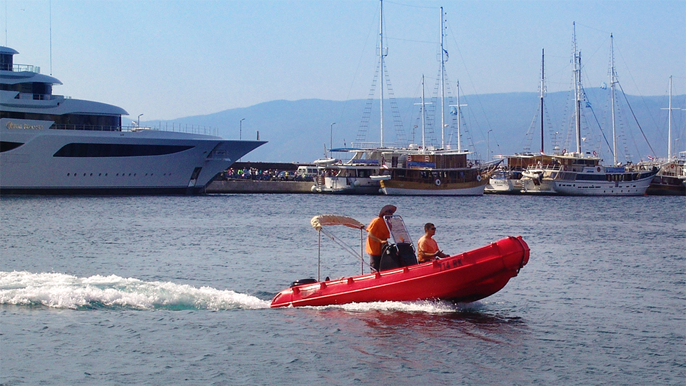 Picture of Whaly 500R Professional 4