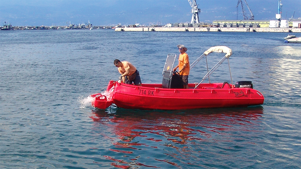 Picture of Whaly 500R Professional 5