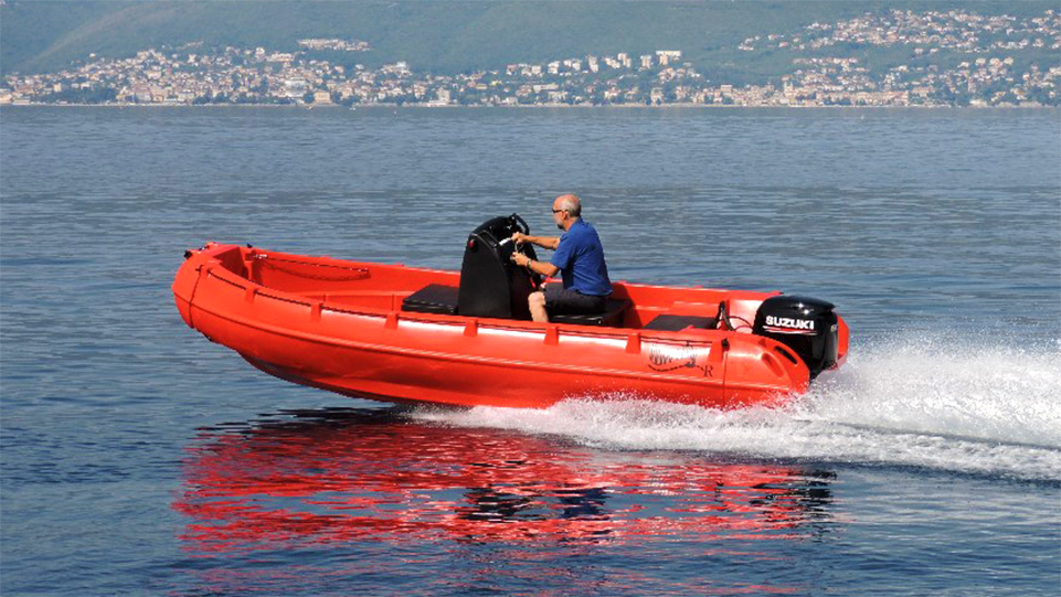 Picture of Whaly 500R Professional 6